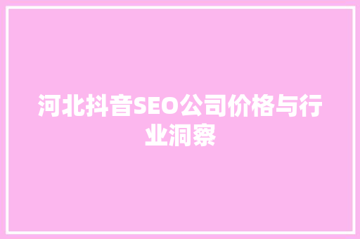 河北抖音SEO公司价格与行业洞察