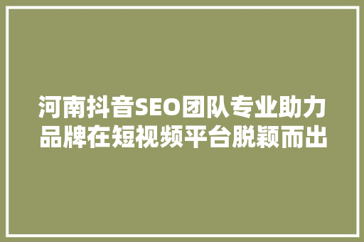 河南抖音SEO团队专业助力品牌在短视频平台脱颖而出