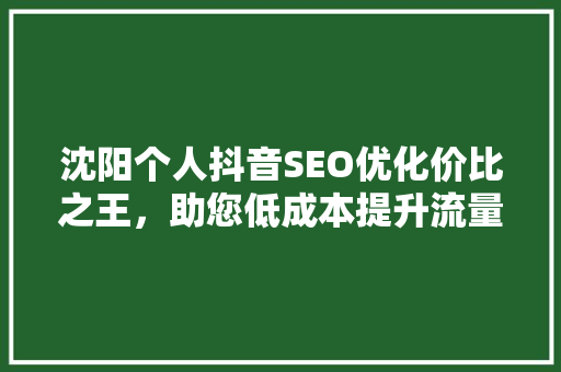 沈阳个人抖音SEO优化价比之王，助您低成本提升流量
