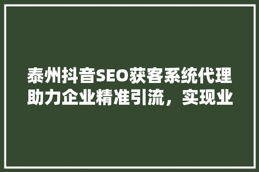 泰州抖音SEO获客系统代理助力企业精准引流，实现业绩飞跃