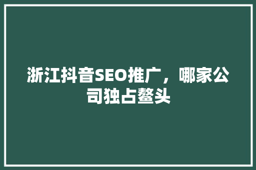 浙江抖音SEO推广，哪家公司独占鳌头