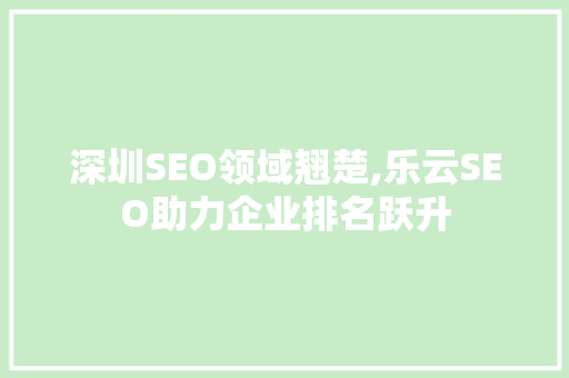 深圳SEO领域翘楚,乐云SEO助力企业排名跃升