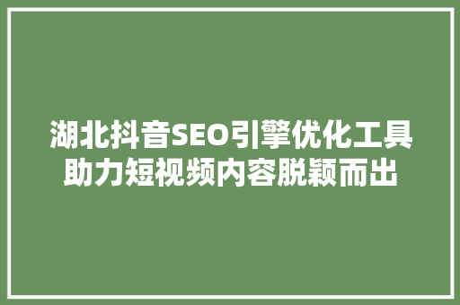 湖北抖音SEO引擎优化工具助力短视频内容脱颖而出
