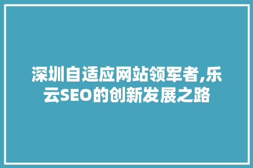 深圳自适应网站领军者,乐云SEO的创新发展之路
