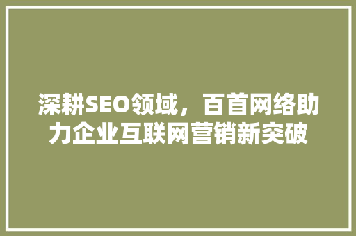 深耕SEO领域，百首网络助力企业互联网营销新突破