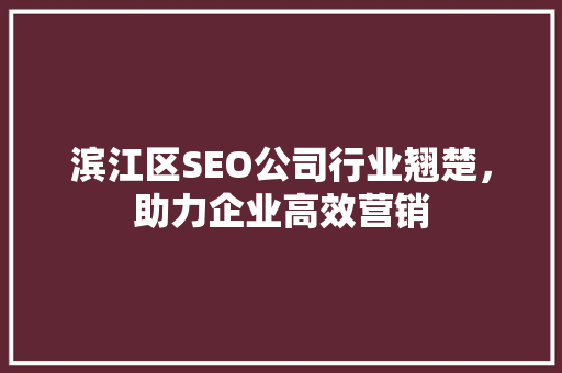 滨江区SEO公司行业翘楚，助力企业高效营销