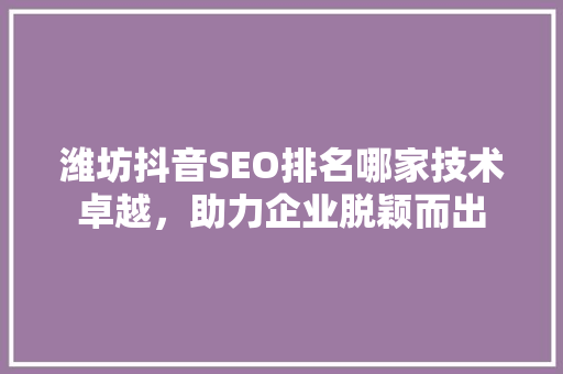 潍坊抖音SEO排名哪家技术卓越，助力企业脱颖而出