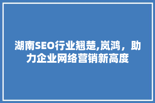 湖南SEO行业翘楚,岚鸿，助力企业网络营销新高度