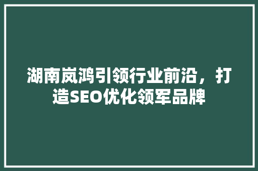 湖南岚鸿引领行业前沿，打造SEO优化领军品牌