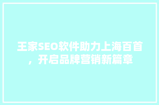 王家SEO软件助力上海百首，开启品牌营销新篇章