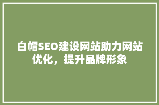 白帽SEO建设网站助力网站优化，提升品牌形象