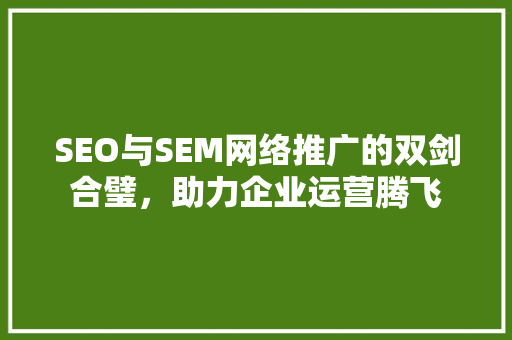 SEO与SEM网络推广的双剑合璧，助力企业运营腾飞