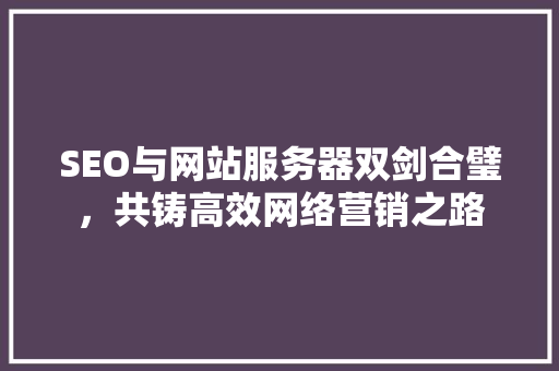 SEO与网站服务器双剑合璧，共铸高效网络营销之路