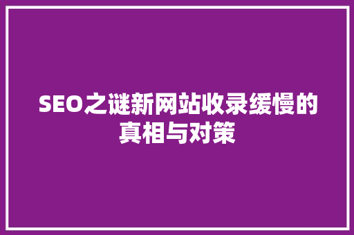 SEO之谜新网站收录缓慢的真相与对策