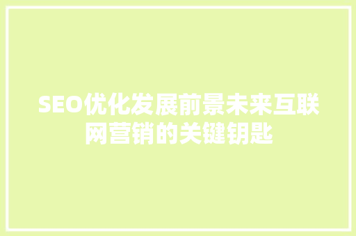 SEO优化发展前景未来互联网营销的关键钥匙