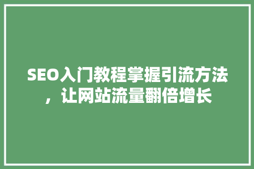 SEO入门教程掌握引流方法，让网站流量翻倍增长