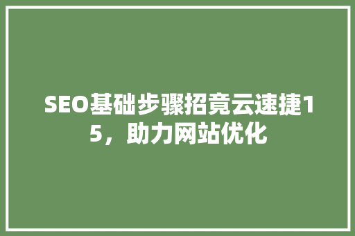SEO基础步骤招竟云速捷15，助力网站优化