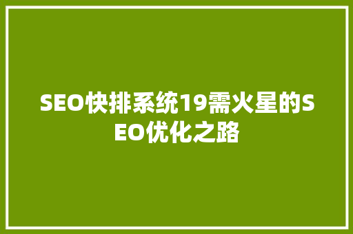 SEO快排系统19需火星的SEO优化之路