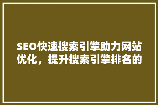 SEO快速搜索引擎助力网站优化，提升搜索引擎排名的利器