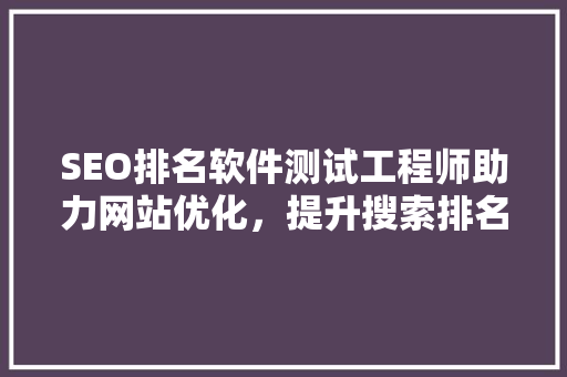 SEO排名软件测试工程师助力网站优化，提升搜索排名的关键角色