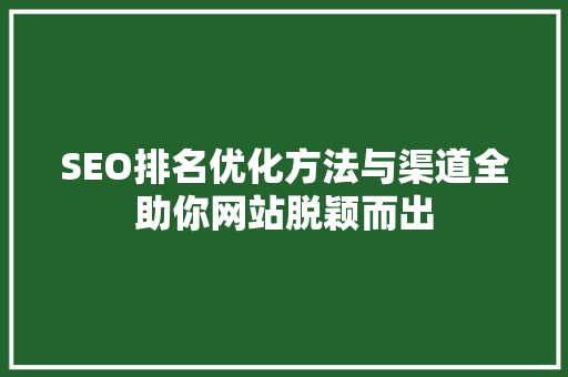 SEO排名优化方法与渠道全助你网站脱颖而出