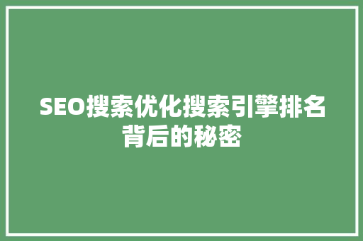 SEO搜索优化搜索引擎排名背后的秘密