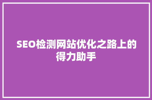 SEO检测网站优化之路上的得力助手