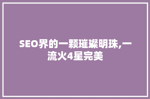 SEO界的一颗璀璨明珠,一流火4星完美