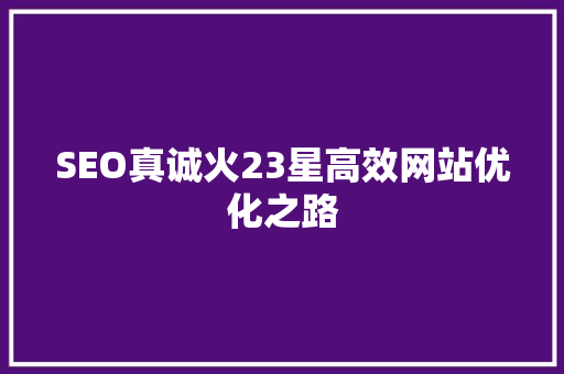 SEO真诚火23星高效网站优化之路