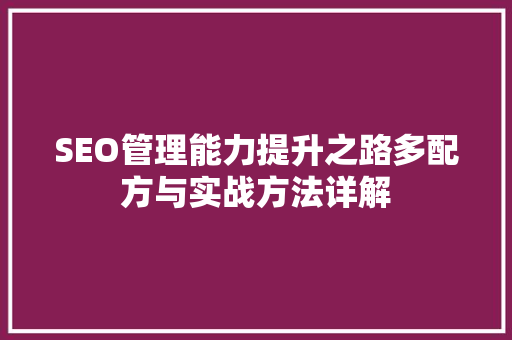 SEO管理能力提升之路多配方与实战方法详解