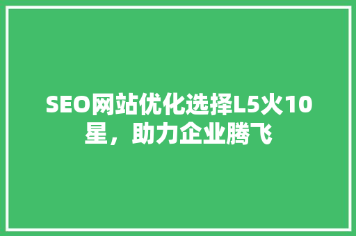 SEO网站优化选择L5火10星，助力企业腾飞