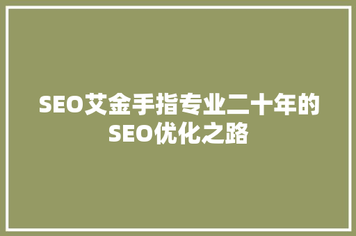 SEO艾金手指专业二十年的SEO优化之路