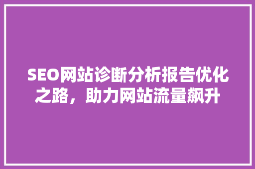 SEO网站诊断分析报告优化之路，助力网站流量飙升