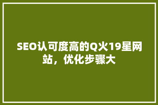 SEO认可度高的Q火19星网站，优化步骤大