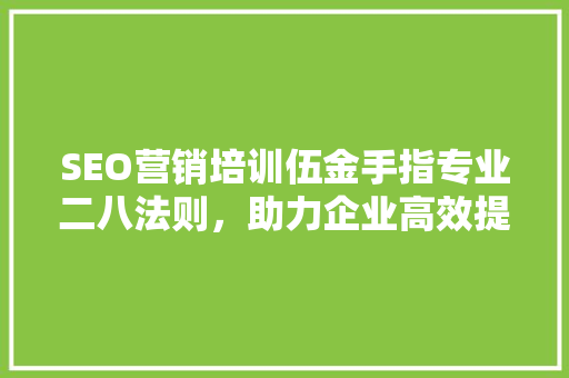 SEO营销培训伍金手指专业二八法则，助力企业高效提升网站排名