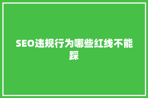 SEO违规行为哪些红线不能踩
