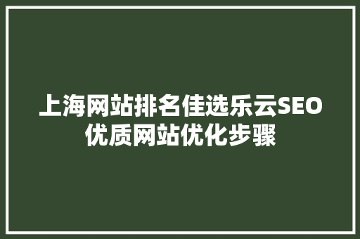 上海网站排名佳选乐云SEO优质网站优化步骤