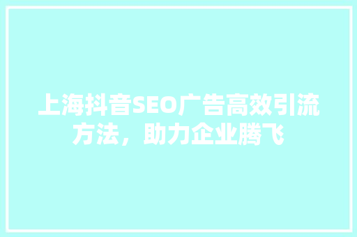 上海抖音SEO广告高效引流方法，助力企业腾飞