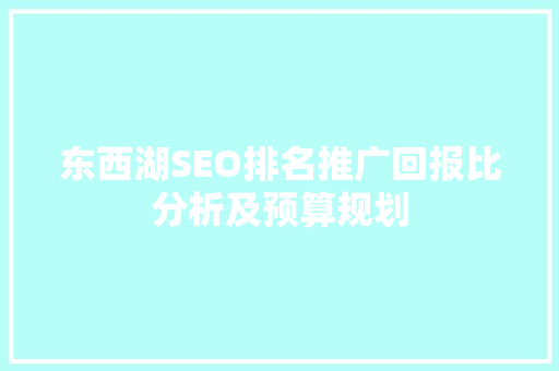 东西湖SEO排名推广回报比分析及预算规划