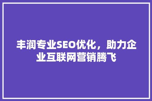 丰润专业SEO优化，助力企业互联网营销腾飞