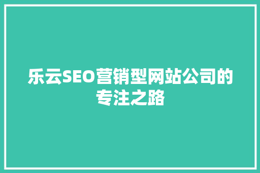 乐云SEO营销型网站公司的专注之路