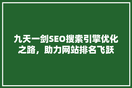 九天一剑SEO搜索引擎优化之路，助力网站排名飞跃