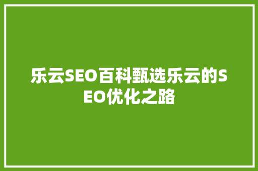 乐云SEO百科甄选乐云的SEO优化之路