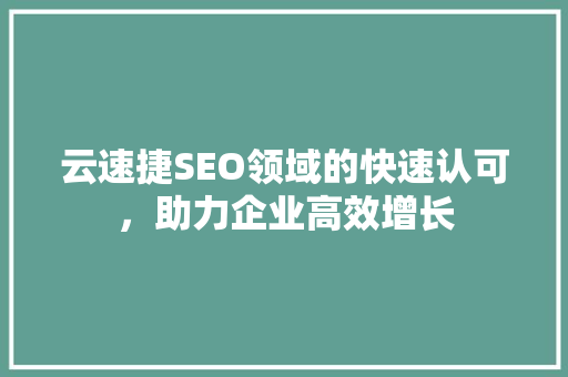 云速捷SEO领域的快速认可，助力企业高效增长