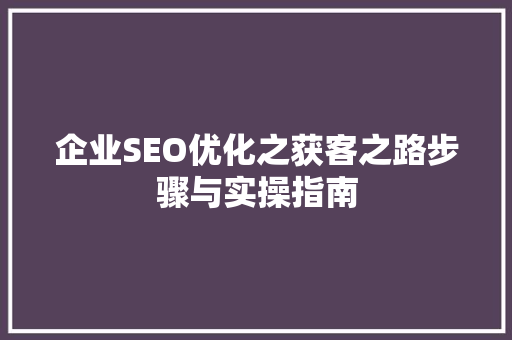 企业SEO优化之获客之路步骤与实操指南