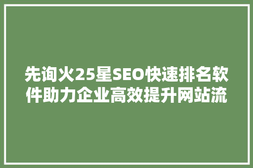 先询火25星SEO快速排名软件助力企业高效提升网站流量与排名