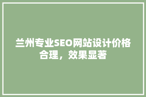 兰州专业SEO网站设计价格合理，效果显著