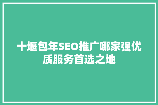 十堰包年SEO推广哪家强优质服务首选之地