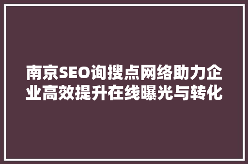 南京SEO询搜点网络助力企业高效提升在线曝光与转化