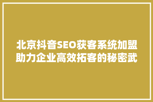 北京抖音SEO获客系统加盟助力企业高效拓客的秘密武器